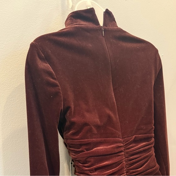 Express Velvet Ruched Mock Neck Mini Dress - XS - chocolate brown - Picture 11 of 11